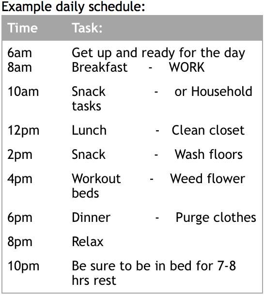 Daily Workout Schedule